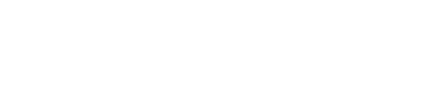 The prizes